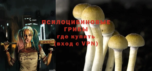 PSILOCYBIN Аркадак