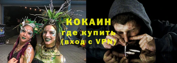 PSILOCYBIN Аркадак